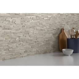 FEATURE SILVER LDGR MO/12X18 - rj4socsjbonb7uxejsi8@2x.jpg