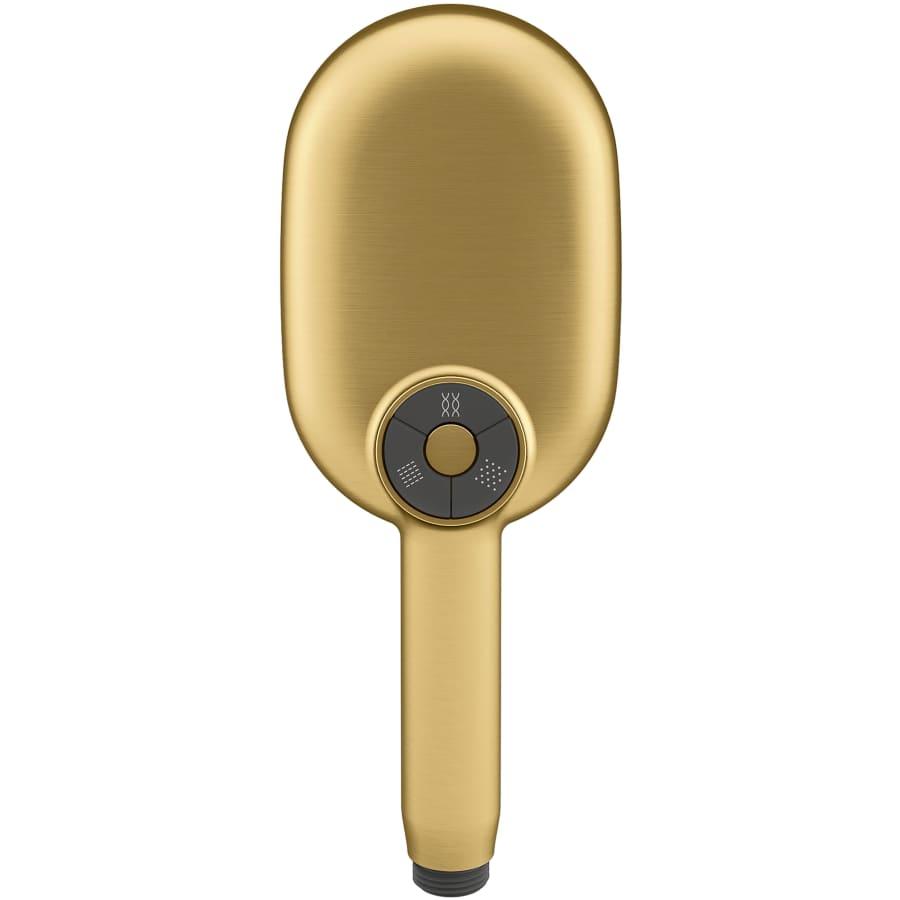 Statement 1.75 GPM Multi Function Hand Shower with MasterClean Sprayface and Katalyst Air Induction Technology - rj8fnke9bf74f66jiinr@2x.jpg