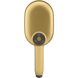 Statement 1.75 GPM Multi Function Hand Shower with MasterClean Sprayface and Katalyst Air Induction Technology - rj8fnke9bf74f66jiinr_x500.jpg