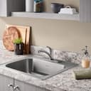 Colony Pro Single Handle Kitchen Faucet - Includes Escutcheon Plate - rk2kjysjygyqzo3uihed@2x.jpg