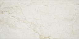 Platinum Alabaster Rectangle 12X24 Matte - rkqrgeiozxumkvgbystr@2x.jpg