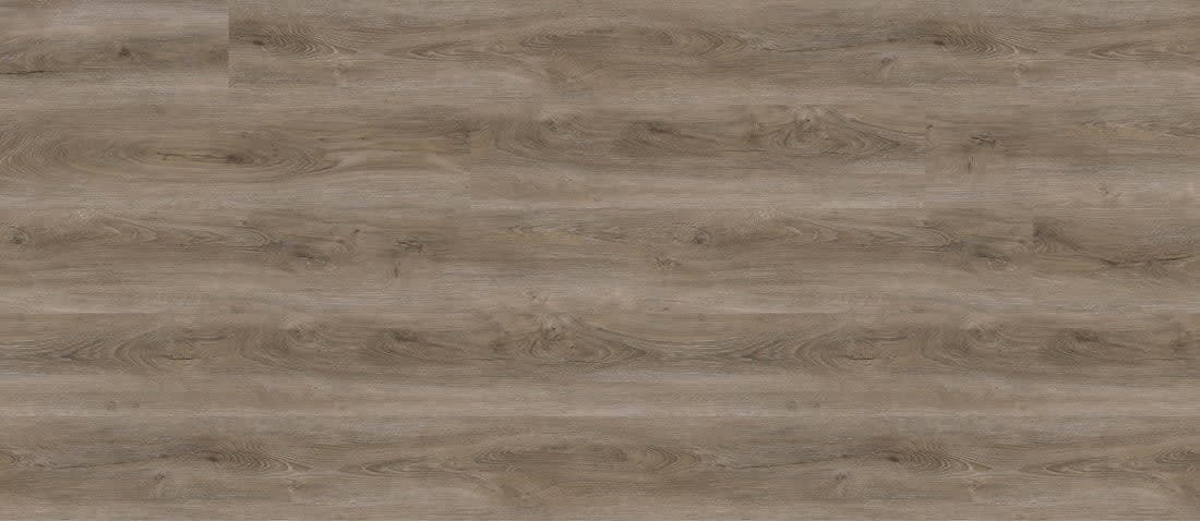 California Buckeye