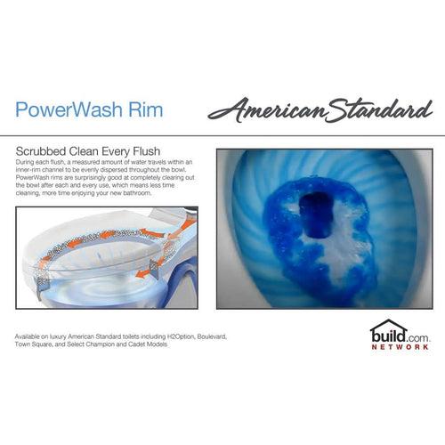 Champion Pro Elongated Toilet Bowl Only with EverClean Surface and PowerWash Rim - rlmvjn0hip7xt9hpcf8l_x500.jpg