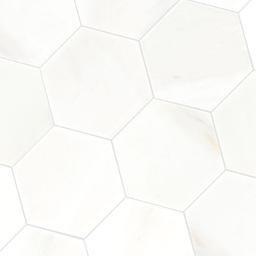 Greecian White 8" Hexagon Polished - rlprpsxoltq4iwzjyltz_x500.jpg