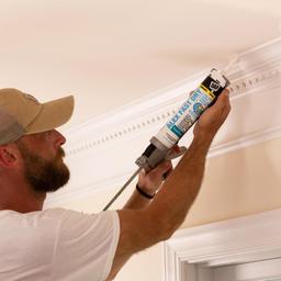 DAP Alex Fast Dry 10.1 oz. White Acrylic Latex Plus Silicone Caulk - rngcgzpf8hjbxmdqgsbm@2x.jpg