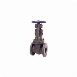 617 OS&Y Gate Valve, 2-1/2 in, Flange, Cast Iron - rnihhahsv5ktguympvrt@2x.jpg