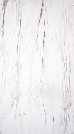 Calacatta Caravaggio Extra - rql3l5t9vo48jinlqtub@2x.jpg