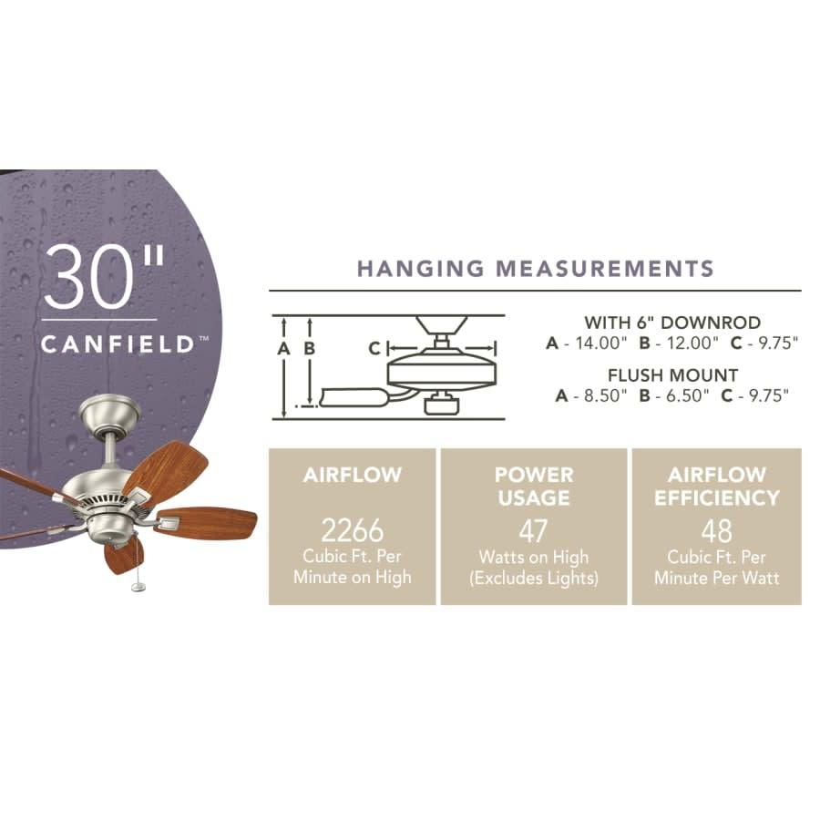 Canfield 30" Indoor / Outdoor Ceiling Fan - rrareiunuojbksy5mxoa@2x.jpg