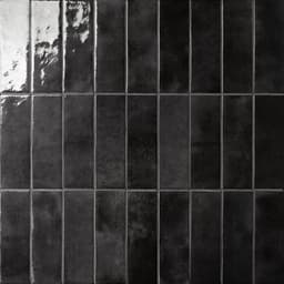 Cloé 2.5X8 Glossy Ceramic Tile in Black - rs9tgqgg7n7czfa0bx3b@2x.jpg