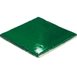 Natural Hues Fern Square 12X12 Matte - rsskjoyu5lyvzq4jz9fd@2x.jpg