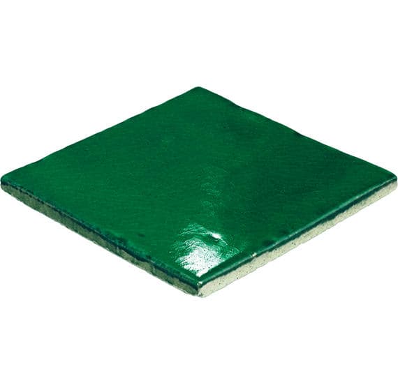 Natural Hues Fern Square 12X12 Matte - rsskjoyu5lyvzq4jz9fd@2x.jpg