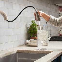 Riff 1.5 GPM Single Hole Pull Down Kitchen Faucet - rupvblvo8qgossjg9dio@2x.jpg