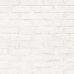 Alpine White Clay Brick 2..5 - rwg5zmt5q2vkvcrghukc@2x.jpg