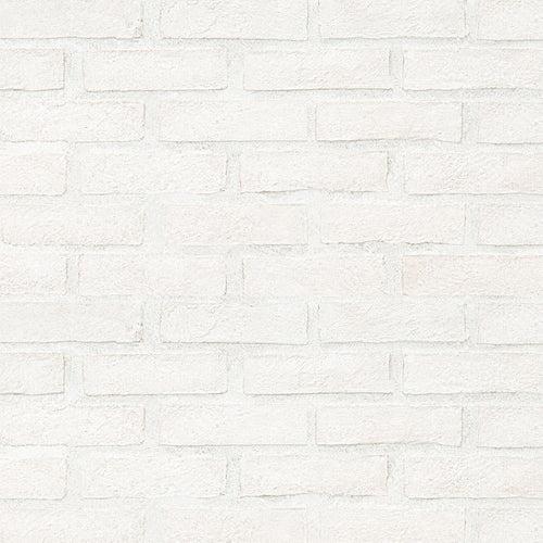 Alpine White Clay Brick 2..5 - rwg5zmt5q2vkvcrghukc_x500.jpg