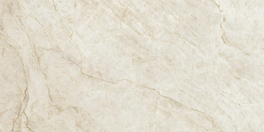 Taj Mahal Silk - rwxmtt2tcciiheoma8gj@2x.jpg