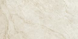 Taj Mahal Silk - rwxmtt2tcciiheoma8gj@2x.jpg