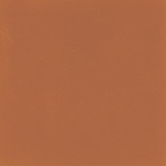 D_Segni Color Tangerine Square 8X8 Matte