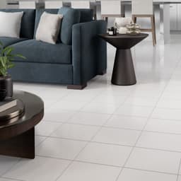MARBLE THASSOS WHITE 12X12 - ryjpc76atmbr2ddijjbi@2x.jpg