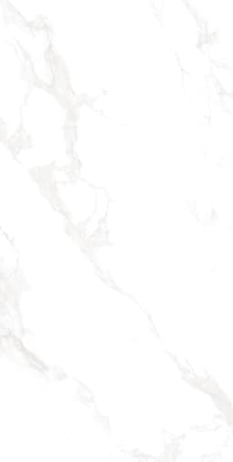 Marble Carrara - rz5295jscaqunvf6n6bs@2x.jpg