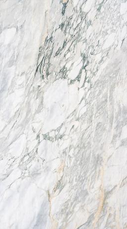 Arabescato Capriola - s0odr9pyc1yjjrp9lpts@2x.jpg
