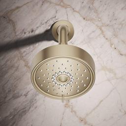 Purist 2.5 GPM Multi Function Shower Head with MasterClean and Katalyst Air-Induction Spray Technology - s3qqsh7c75sgpzei60vk@2x.jpg