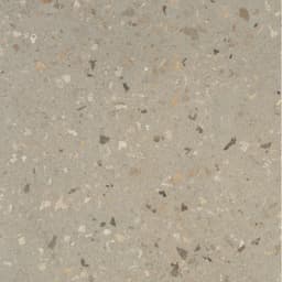 ANVAYA LOTUS MT 12X12 - s8awcihkopkqe1inbo1g@2x.jpg