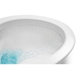 Kingston Elongated Chair Height Toilet Bowl Only - Less Toilet Seat - s8iavelyjgx8flisjrur@2x.jpg