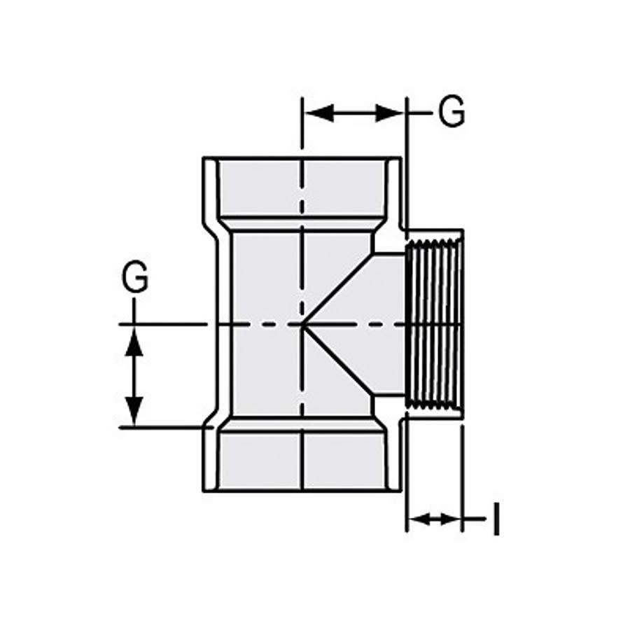 Flush Cleanout Tee, 6 in, Hub x FNPT, DWV, PVC - s9pxa24iyzcevhuje63g@2x.jpg