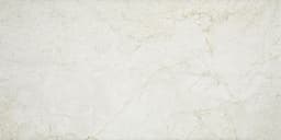 Platinum Alabaster Rectangle 12X24 Matte - s9wpfmhwjmn8ftjxxnjr@2x.jpg