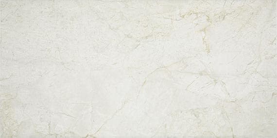 Platinum Alabaster Rectangle 12X24 Matte - s9wpfmhwjmn8ftjxxnjr@2x.jpg
