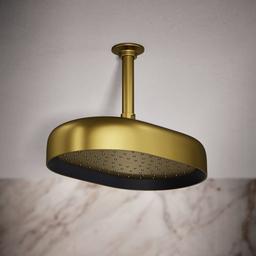 Statement Oblong 12" Single Function 1.75 GPM Rainhead with MasterClean Sprayface and Katalyst Air-Induction Technology - sarqyh2dthvn4dmfo58y@2x.jpg
