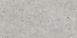 STONE BASEL GRIS 24x48R - sbe8a8agxeqnwhonvaje@2x.jpg
