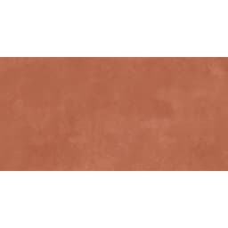 AGIO SLIM RINO 24X47 - sfvadbffnjmop7ewznbp@2x.jpg