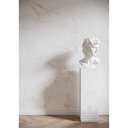 EXPANSE ARABESCO WHT PL 47X110 - sgbwhppyw2jfkaddhx3r@2x.jpg