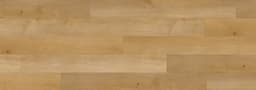 Elegant Sand - sibafcsxhlgjc7mcqy55@2x.jpg