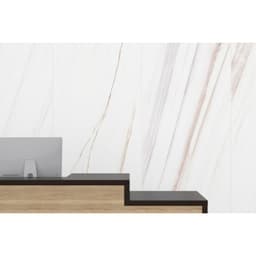 EXPANSE LASSA WHITE MT 47X110 - sj4gr3hzkxelrynq1m6v@2x.jpg