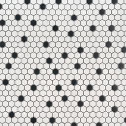 Black And White 1” Hexagon Mosaic Tile - skkv3z6n4hlaleibkkon@2x.jpg