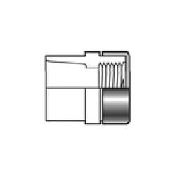 Female Adapter, 2 in, Socket x FNPT, SCH 40/STD, PVC - skndgqjojtdrld0u1ln0@2x.jpg