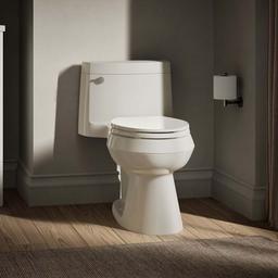 Cimarron 1.28 GPF Elongated One-Piece Comfort Height Toilet with AquaPiston Flush Technology - Seat Included - skzdnqq7ognlway5s9qj@2x.jpg