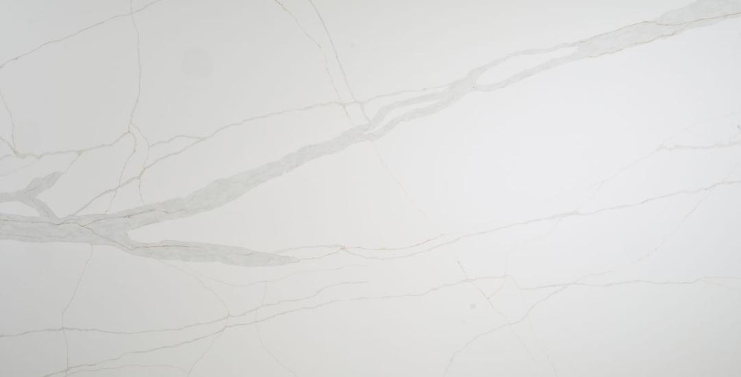 Calacatta Ana - slhvjuzstj1lojkf8re1@2x.jpg