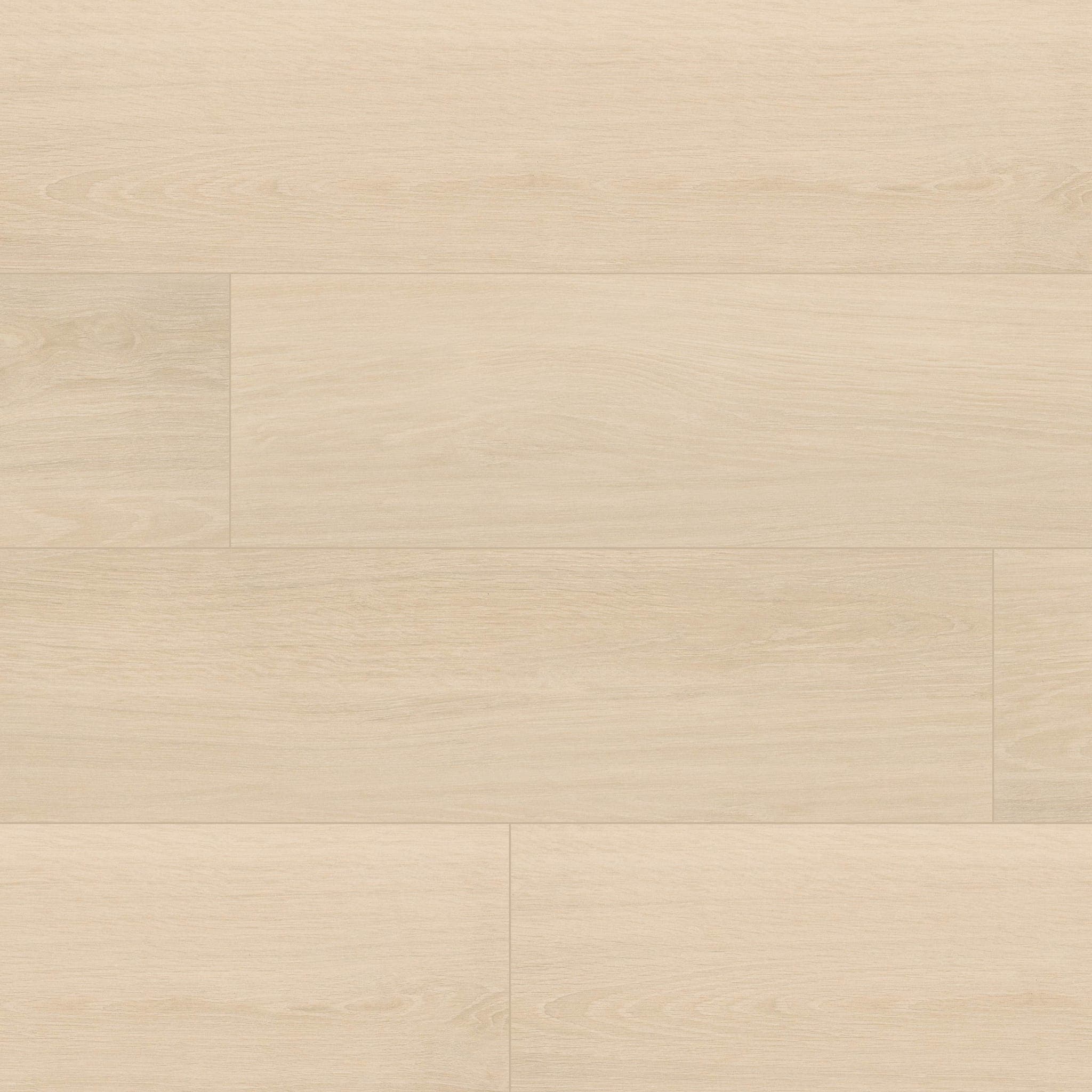 Placero Maple