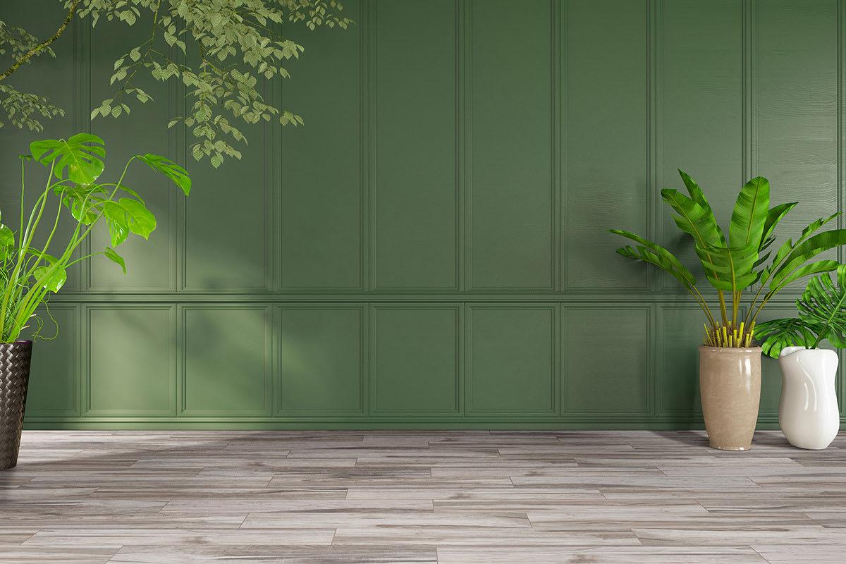 Carolina Timber II Gray - sm6bduh9ero4hwur77e2@2x.jpg