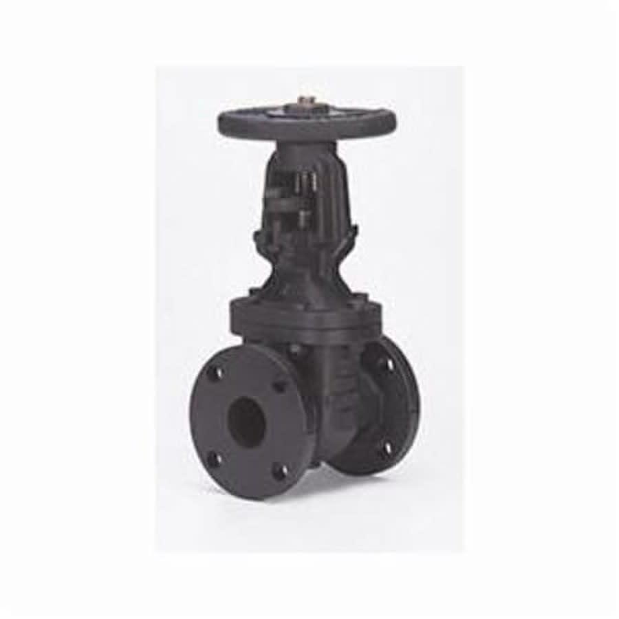 2885A OS&Y Gate Valve, 2-1/2 in, Flange, Cast Iron - smm7gtnymquh0xtla098@2x.jpg