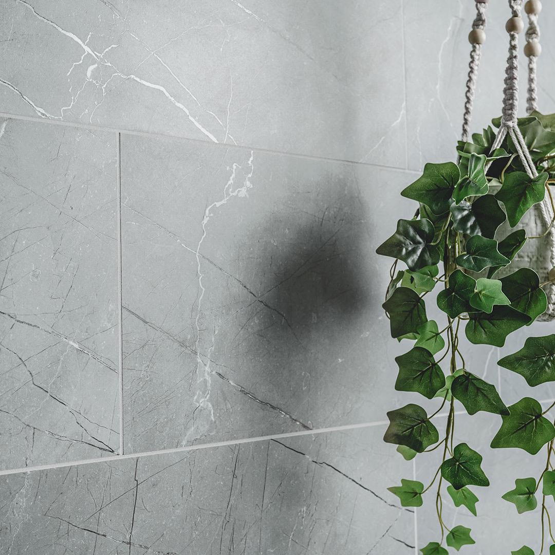 Aylana Gris - smor78njmwzj0ctnrqof@2x.jpg