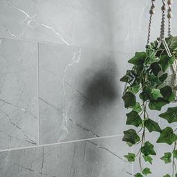 Aylana Gris - smor78njmwzj0ctnrqof@2x.jpg