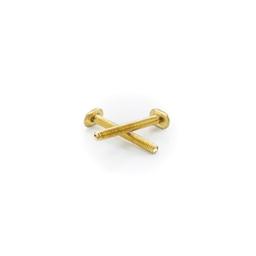 Closet Bolt, 1/4 x 2-1/4 in L Thread, Brass - sqlhkp9qdrxtxhwedxfd@2x.jpg