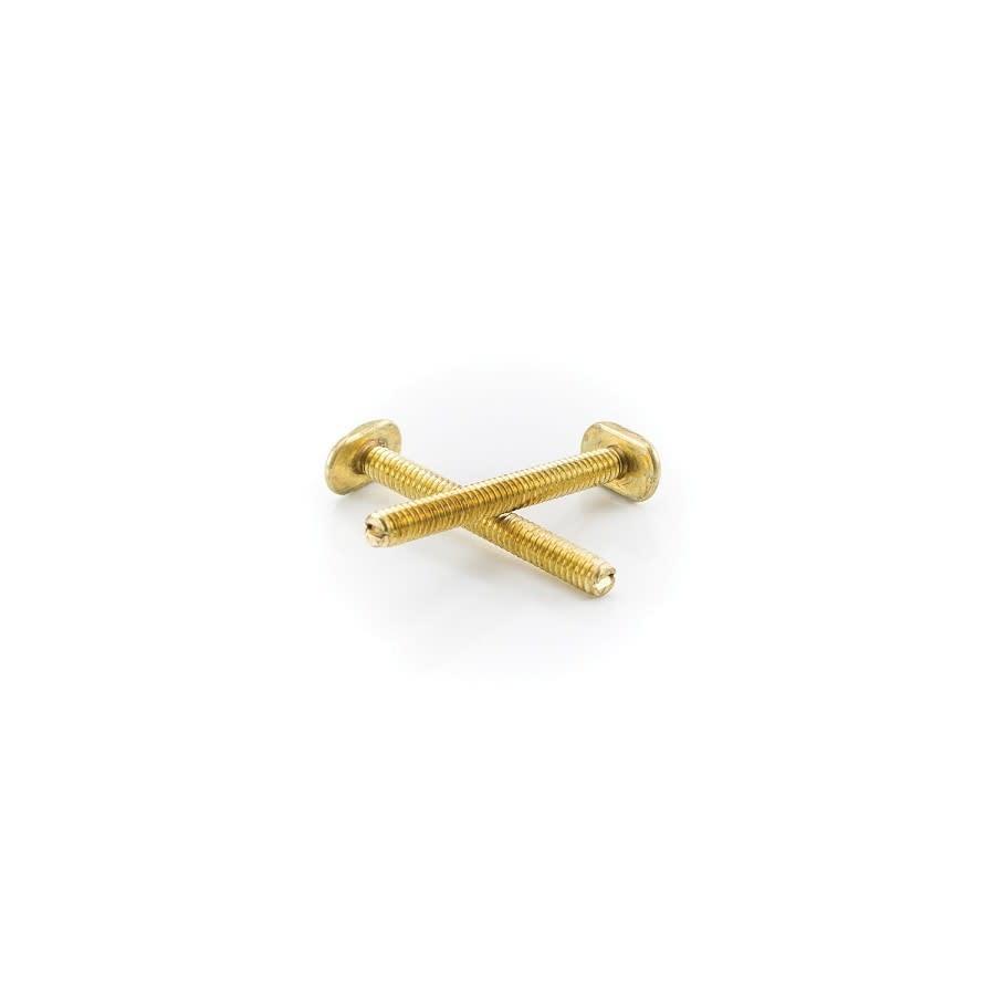 Closet Bolt, 1/4 x 2-1/4 in L Thread, Brass - sqlhkp9qdrxtxhwedxfd@2x.jpg