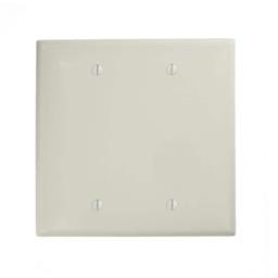 White 2-Gang Blank Plate Wall Plate (1-Pack) - sr1joinbh8iqcfo5qeyn@2x.jpg