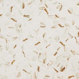 Calacatta Gold Matte 2" Hexagon - ssvna2xbjoewe9h9jvei@2x.jpg