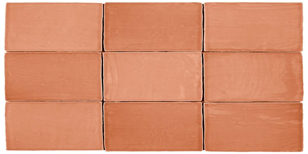 ST TROPEZ CORAL 2.5x5 - su6vz0llyduopul65wea@2x.jpg